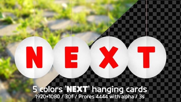 5 Colors 'NEXT' Hanging Cards
