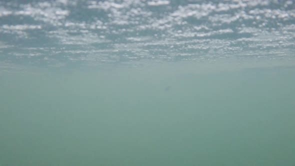 Underwater view of ice on a small lake