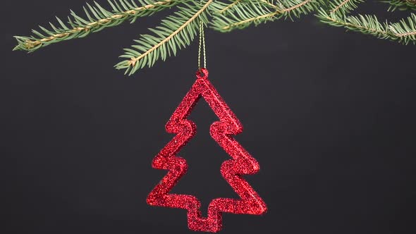 red toy shaped fir-tree tremble by the wind on green spruce branch