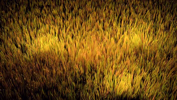 Bright yellow lines waver like grass in 3d