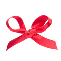 Festive  red gift  bow - PhotoDune Item for Sale