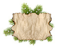 Old parchment paper with copy space on Christmas tree branch background - PhotoDune Item for Sale