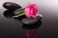 Spa stone and rose flowers still life. Healthcare concept. - PhotoDune Item for Sale