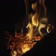 Camp Fire - VideoHive Item for Sale