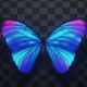 Blue Morpho Butterfly - 3DOcean Item for Sale
