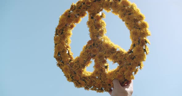 Handmade Peace Symbol Made of Yellow Dandelion Flowers on a Clear Blue Sky