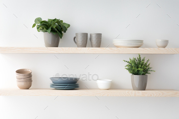 tment, flat for rent or sale and home blog. Modern plates and cups, kitchen utensils, potted plants on wooden shelves, on light wall, empty space