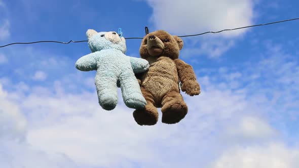 Two Teddy Bears Hang on a Rope After