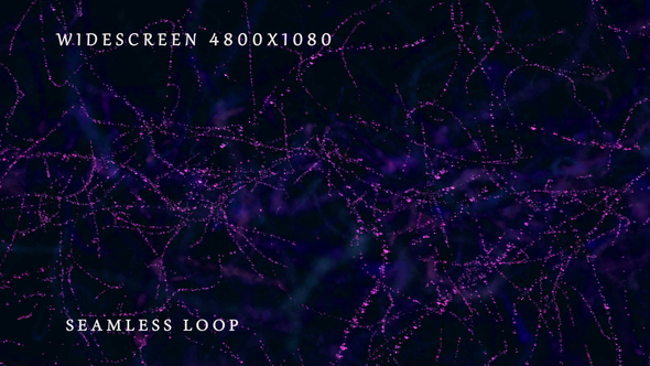 Star Carousel Widescreen alt