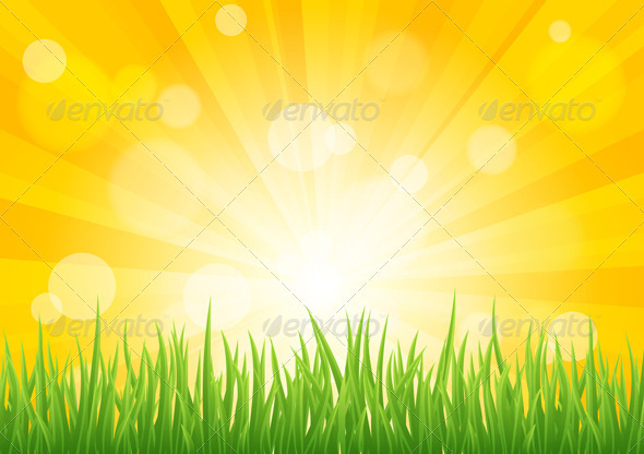 Bright vector sun effect with green grass field