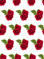 two red rose flowers  isolated with leaves on white background cutout. Floral seamless pattern. - PhotoDune Item for Sale
