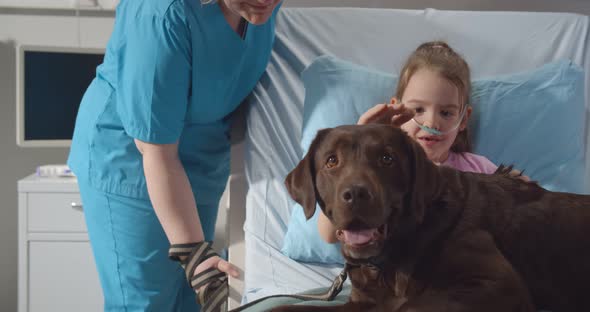 Portrait of Smiling Sick Kid Lying in Hospital Bed with Pet Dog and Nurse Standing Near