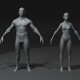 Male and Female Body Base Mesh 3D Model 20k Polygons - 3DOcean Item for Sale