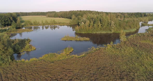 Aerial view of lake with small island full of trees.