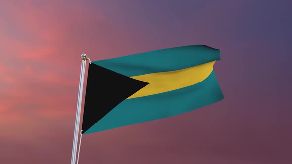 Flag Of Bahamas Waving