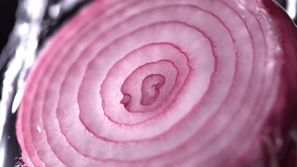 Water splash on sliced red onion. Slow Motion.