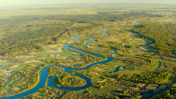 Aerial View Green Forest Woods And Curved River Landscape In Sunny Spring Day