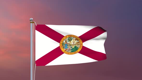 Florida Flag 4k