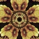 Golden Flowers Kaleidoscope - VideoHive Item for Sale