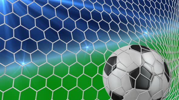 Soccer Ball  In  Net  alt