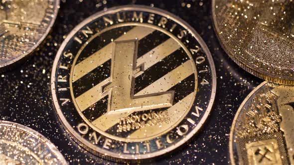 Model L with Black Stripes Created As Virtual Currency Macro