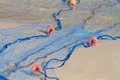 Fishing nets on the beach - PhotoDune Item for Sale