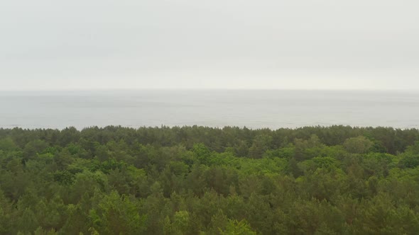 Flight Over Forest with Baltic Sea Ocean in Background