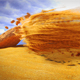 Epic Sand Storm Logo Reveal - VideoHive Item for Sale