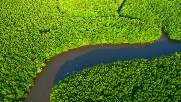 4K Aerial view of mangrove forest at khao jom pa, trang, Thailand. 4k Footage