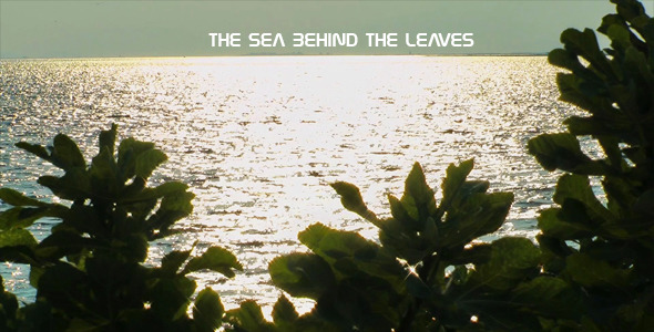 The Sea Behind The Leaves