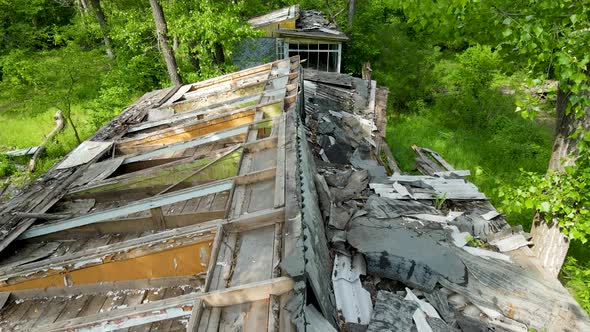 Abandoned old buildings in the forest