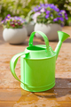 watering can and beautiful pansy summer flowers in flowerpots in garden - PhotoDune Item for Sale