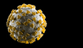 3d illustration virus cells. Isolated on black background coronavirus copy space. Covid-19 - PhotoDune Item for Sale