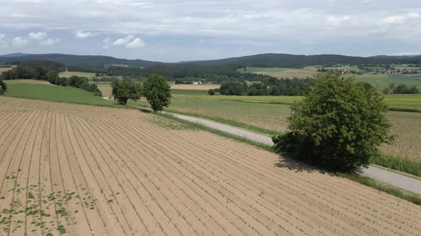 Rural Agricultural Landscape For Farming, Fields end Forest - Aerial Drone Footage