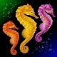 Vector Seahorses - GraphicRiver Item for Sale