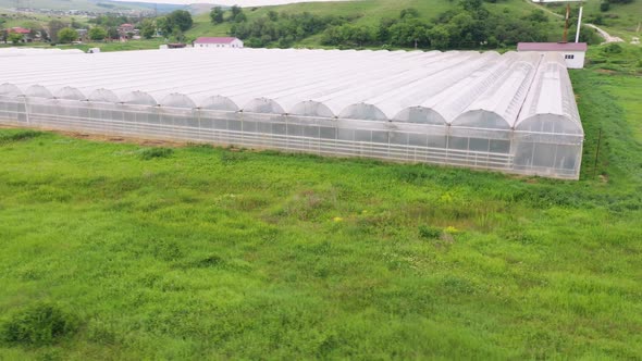 Commercial Greenhouse Farming