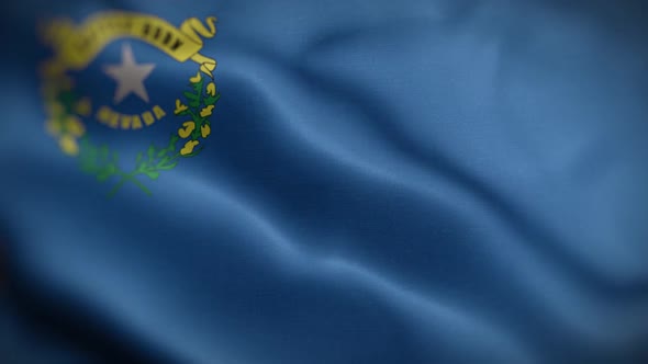 Nevada State Flag Front HD