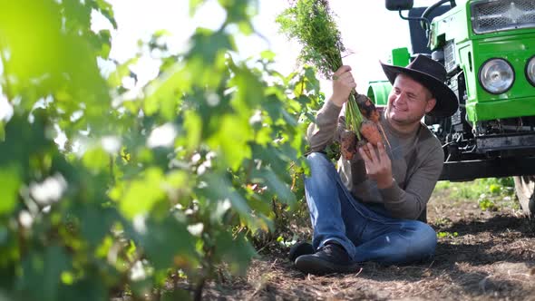 An American Farmer Near a Tractor Inspects a Carrot Crop in Colorado USA