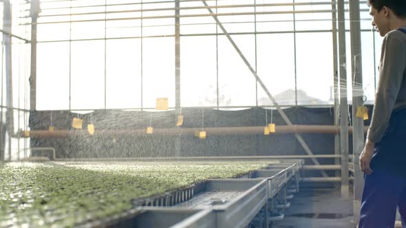 Greenhouse Employee Watering Seedlings
