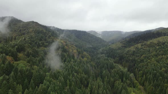 Aerial View of the Carpathian Mountains in Autumn. Ukraine