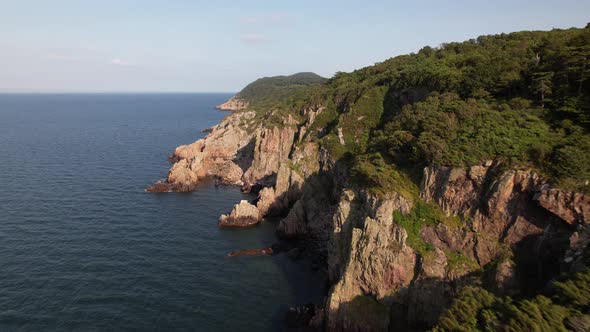 Drone flying over beautiful landscape, cliff, forest and ocean, Kullaberg Sweden