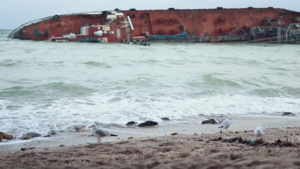 Tanker Crashed on the Shores of the Black Sea