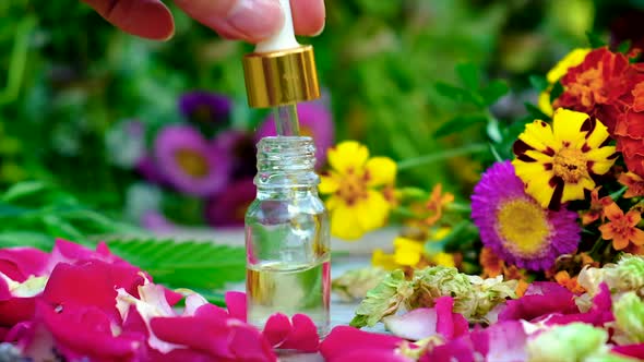 Essential Oil of Herbs and Flowers in Bottles