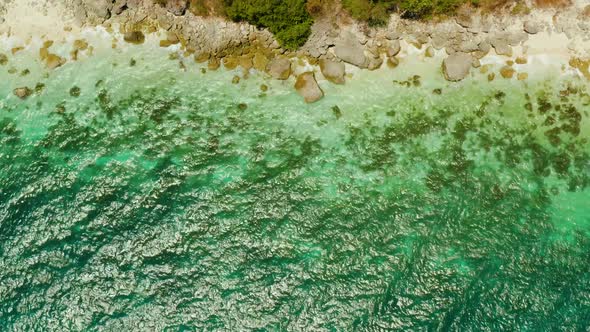 Tropical Beach and Blue Clear Sea