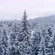 Snowy Firs In Mountainous Forest - VideoHive Item for Sale
