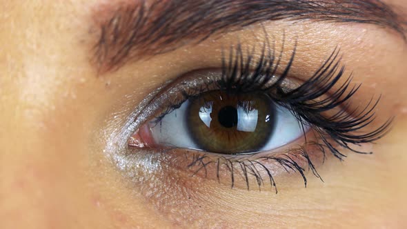 Closeup on a Female Eye