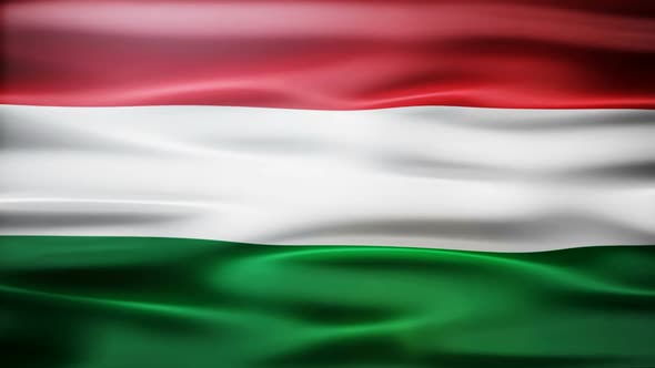 Hungary Flag Waving