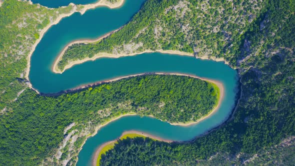 Aerial view of green grass forest with tall pine trees and blue bendy river