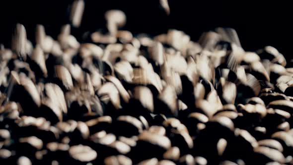 Moving Coffee Beans on a Loudspeaker