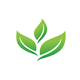 Ambient Brand Logo Intro